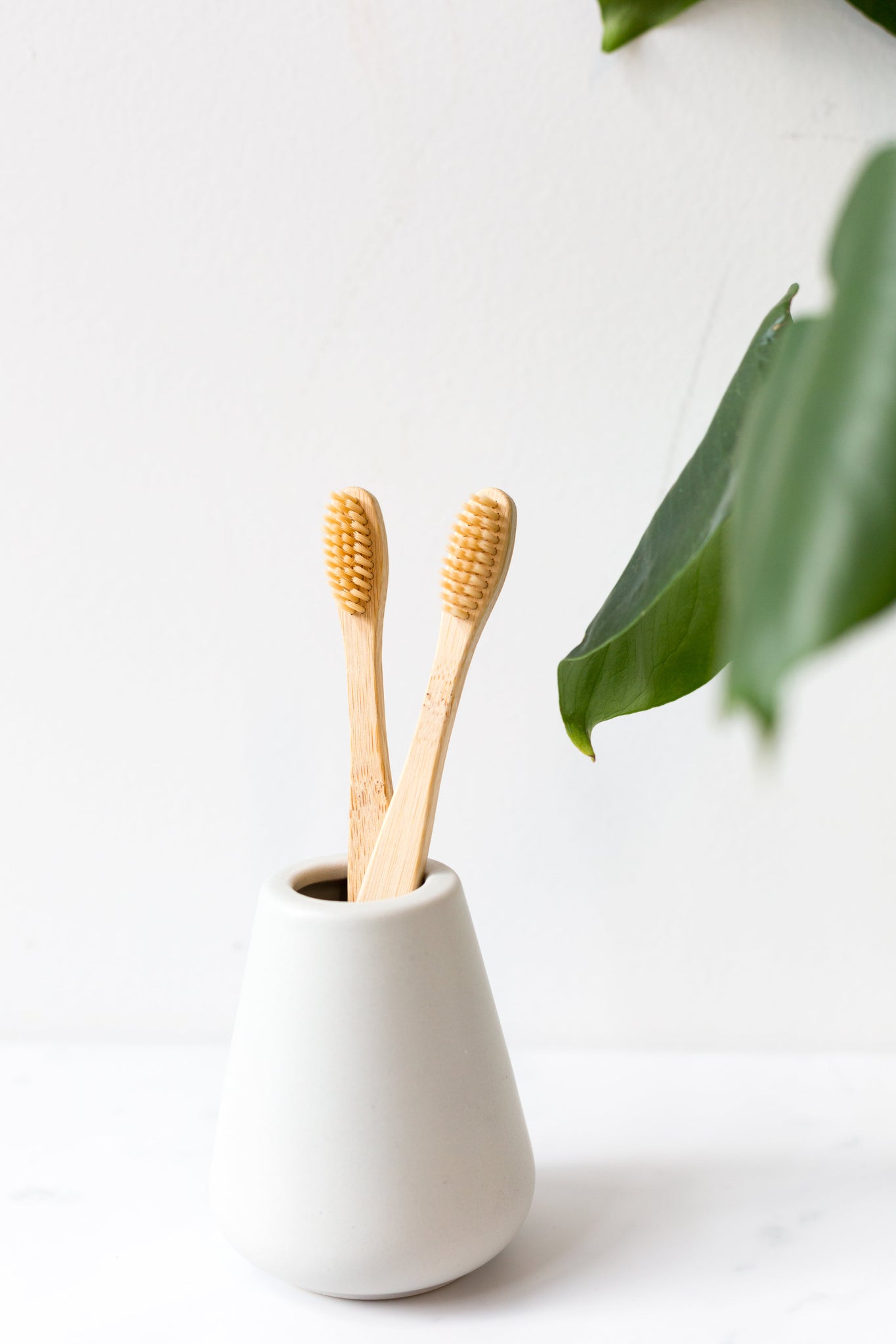 Bamboo Toothbrush (Travel/Kids)